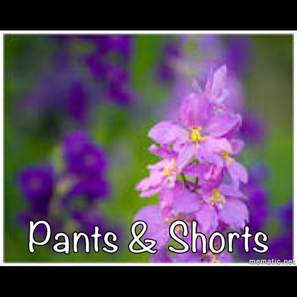 Pants and shorts